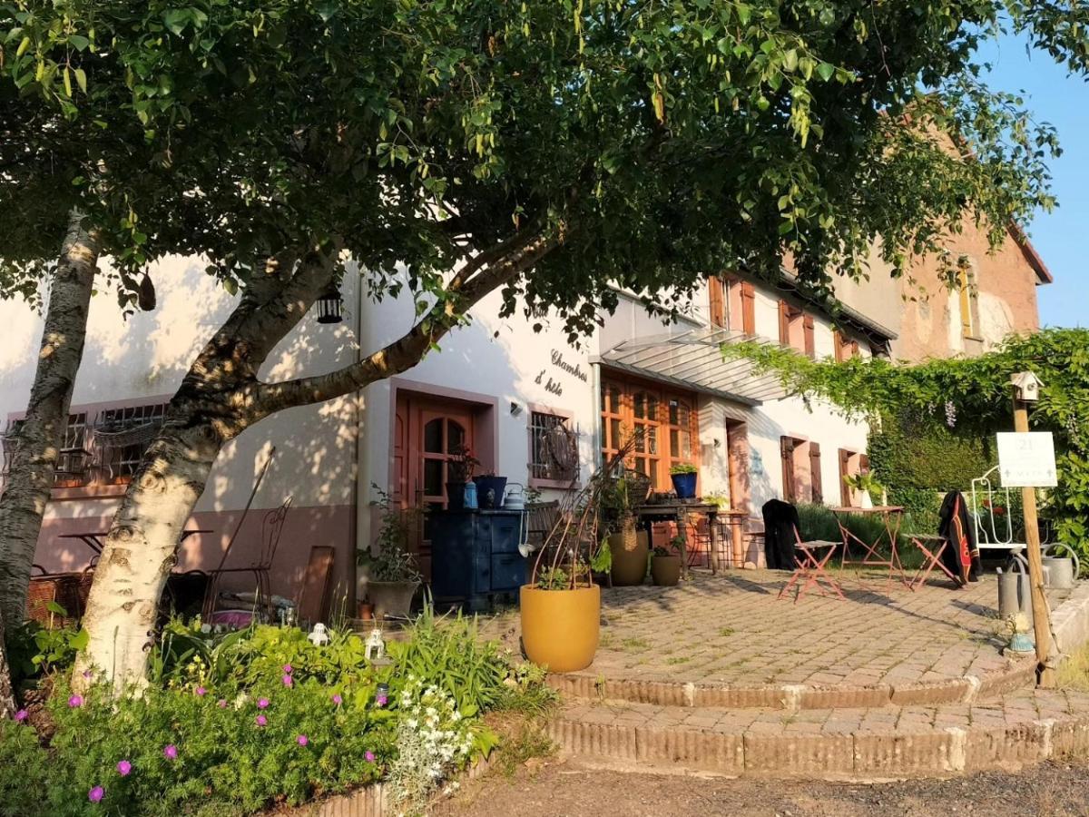 Les Capucines La Souris Des Champs Apartment Etival-Clairefontaine Exterior photo